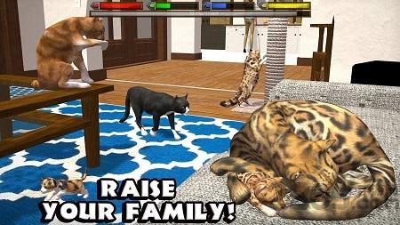 终极猫模拟器中文破解版下载,终极猫模拟器,模拟游戏